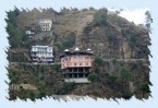 Shimla Local