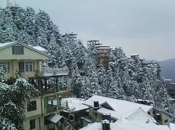 Manali Shimla Special tour